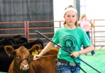 Ellie Ortmeier competes in the Beef Show competition at the Washington County Fair Monday.