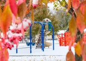 Snow coats trees and playground equipment and Stemmermann Park Wednesday morning.
