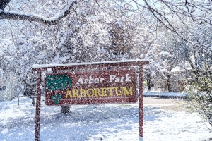 Light snow falls from trees surrounding the Arbor Park Arboretum sign at Arbor Park School Friday morning.