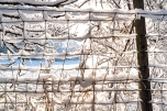 Snow covered fence at the edge of Black Elk-Neihardt Park
